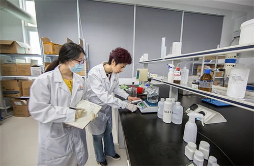 抓品質(zhì)重服務(wù)，海智生物專注品質(zhì)，倚夢前行