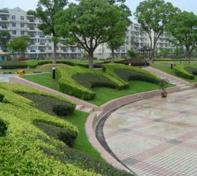 【山東泰聯(lián)集團:園林綠化建造花園水池的應(yīng)注意的幾個事項】價格,廠家,工程施工