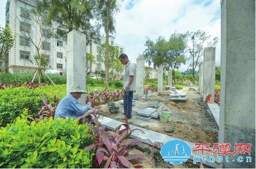 平潭東門(mén)社區(qū)綠化改造 雞棚鴨舍變成了公園