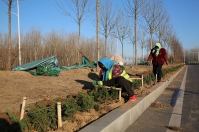 濱州33項(xiàng)園林綠化新建續(xù)建工程本月底前全面開(kāi)工