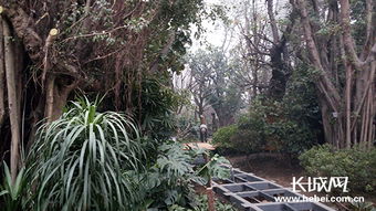 唐山世園熱帶植物館 奧秘與魅力的交織，體育場(chǎng)地設(shè)施工程的匠心打造